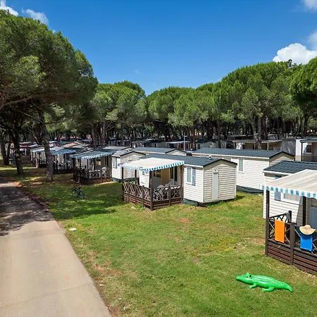 Albatross Mobile Homes On Bi Village 3*